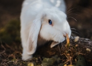 金年会博彩-瑞典压哨绝杀曼联，拉亚攻防转换核心闪耀全场