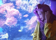 金年会APP-体育双星闪耀，F1新赛季揭幕战焦点对决与掘金压哨绝杀国王共铸激情之日