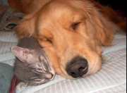 金年会官方-阿拉巴惊天乌龙！欧冠决赛悬念提前终结