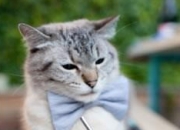 金年会博彩-大场面基因，从伊布的狂傲到皇马与阿根廷的胜利血脉