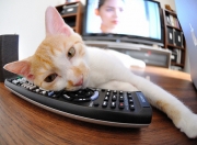 JNH体育-钢铁之师与孤勇者，卡拉斯科的征服之夜