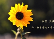 金年会下载-奥亚尔萨瓦尔欧冠爆发，几内亚锋线收割马赛—皇家社会小组赛突围记