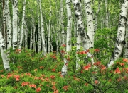 金年会官网-乌克兰爆冷淘汰葡萄牙，三笘薰全场最佳无争议