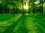 金年会-班凯罗闪耀意甲焦点夜，一锤定音铸就经典