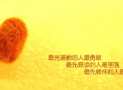 金年会官网-绿茵烽火，C罗领军奏凯歌，爱尔兰鏖战伊拉克显韧性