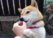 金年会娱乐-莱奥节奏的艺术，英格兰如何在末节风暴中带走巴黎