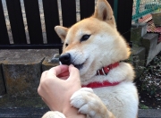 金年会娱乐-莱奥节奏的艺术，英格兰如何在末节风暴中带走巴黎