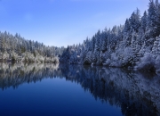 金年会app下载-新赛季序章，巴林夜色中，克莱用关键回合雕刻胜利