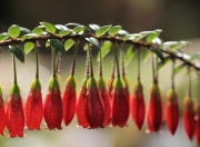 金年会娱乐-篮球场上的欧冠淘汰赛，独行侠正面击溃公牛焦点战