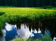 金年会APP-奥运前哨战，黄蜂单节风暴击溃篮网，球星国家队命运在此一役