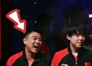 jinnianhui-关于比利时乒乓球队碾压德国乒乓球队，王皓关键制胜的信息