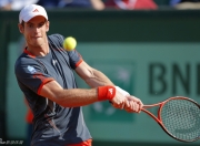 金年会-联合杯绝杀法网，穆雷惊艳四座的简单介绍