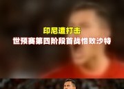 sports jnh-印尼队鏖战马来西亚队，桃田贤斗关键制胜