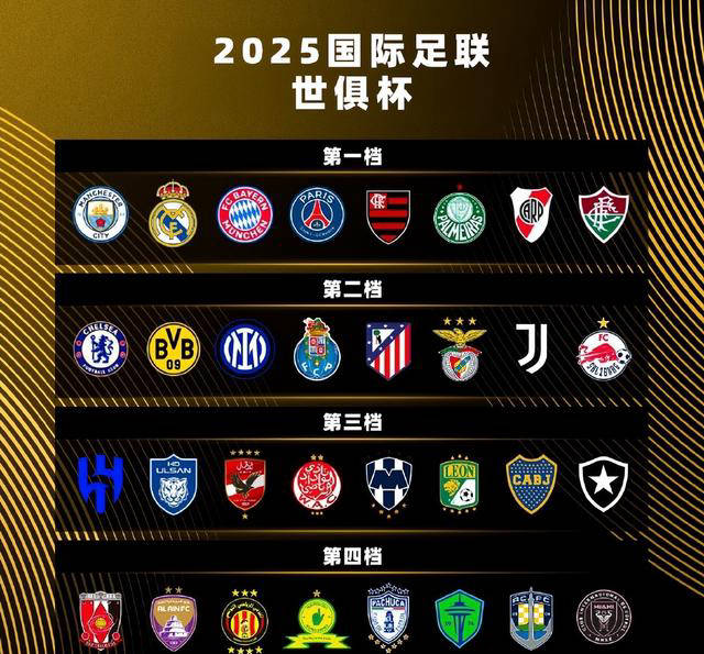 惊喜调整：浦和红钻世俱杯大名单公布的简单介绍