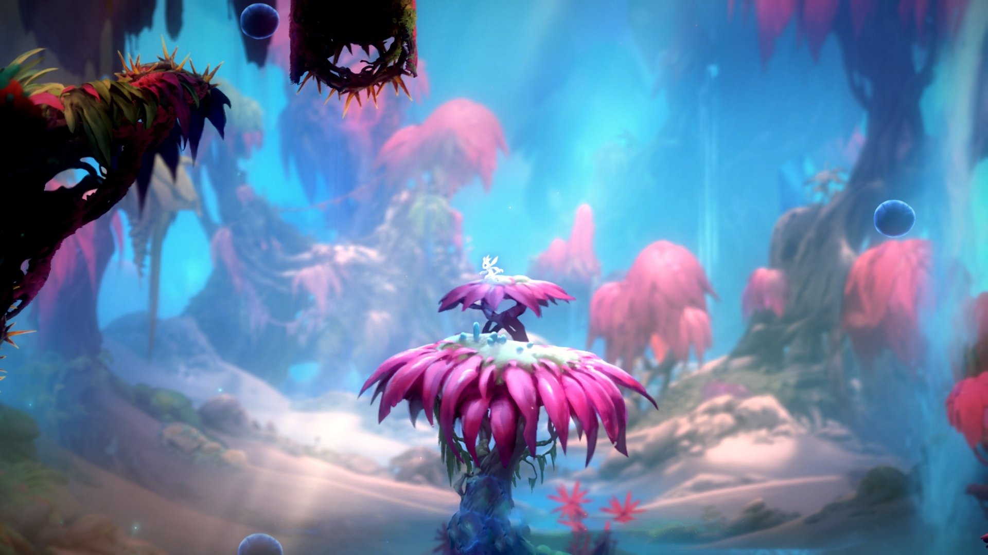 约基奇三双主宰跨联盟之战,当国王碾过北京,篮球智慧如何跨越山海