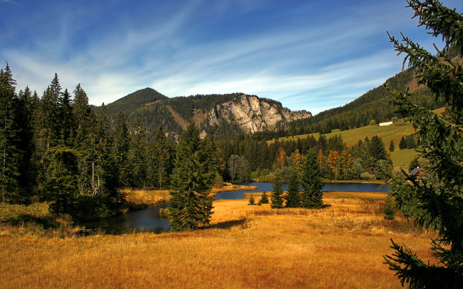 临界点，范戴克与帕尔默，两种赛场的同一种突破