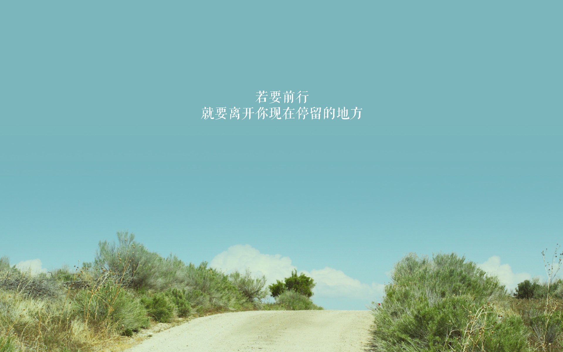 外科手术刀与精密机械表，武切维奇的关键刺杀与辽宁队的节奏窒息