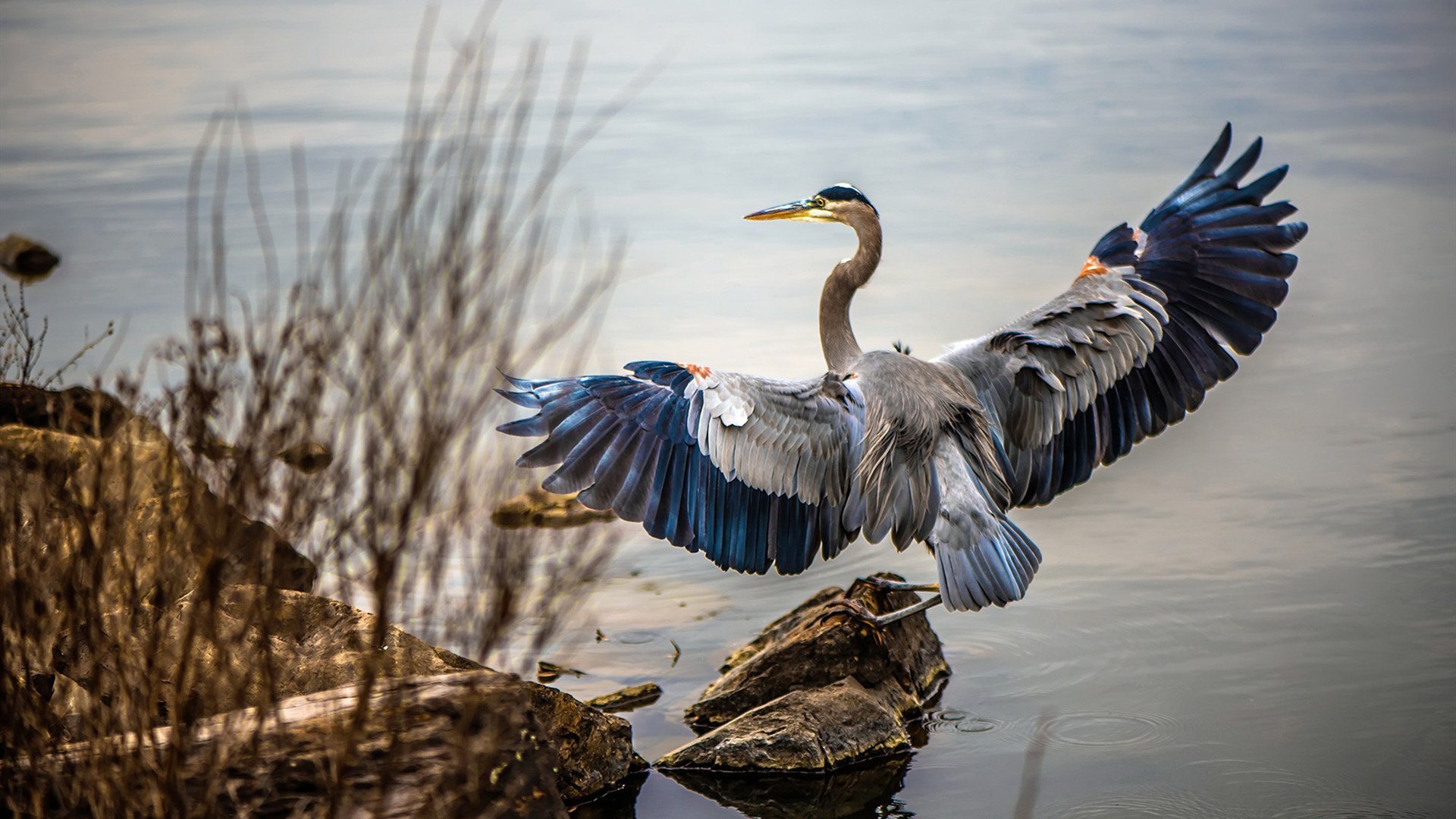 东契奇施展魔法，广厦破解魔术，胜利的两种截然不同的形态