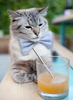 大场面基因,从伊布的狂傲到皇马与阿根廷的胜利血脉