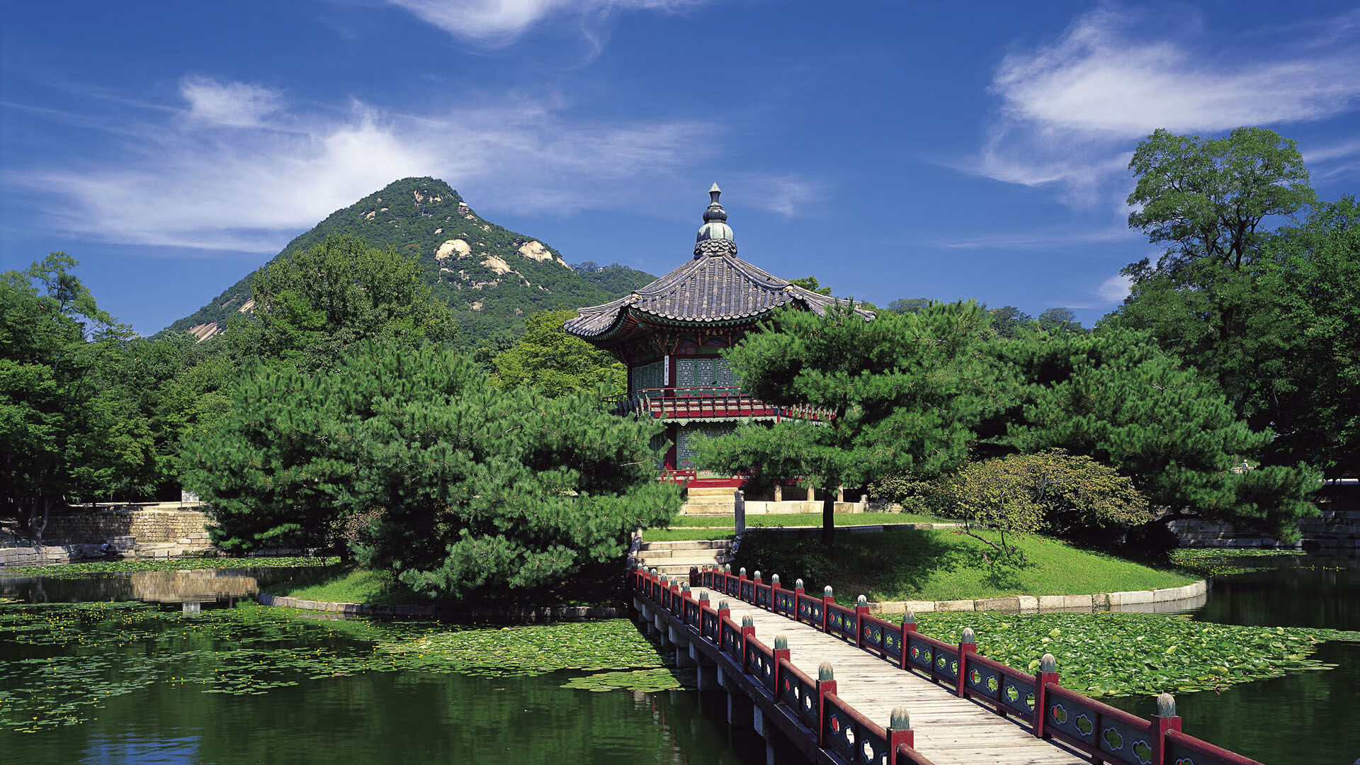 抢七夜,教科书李刚仁