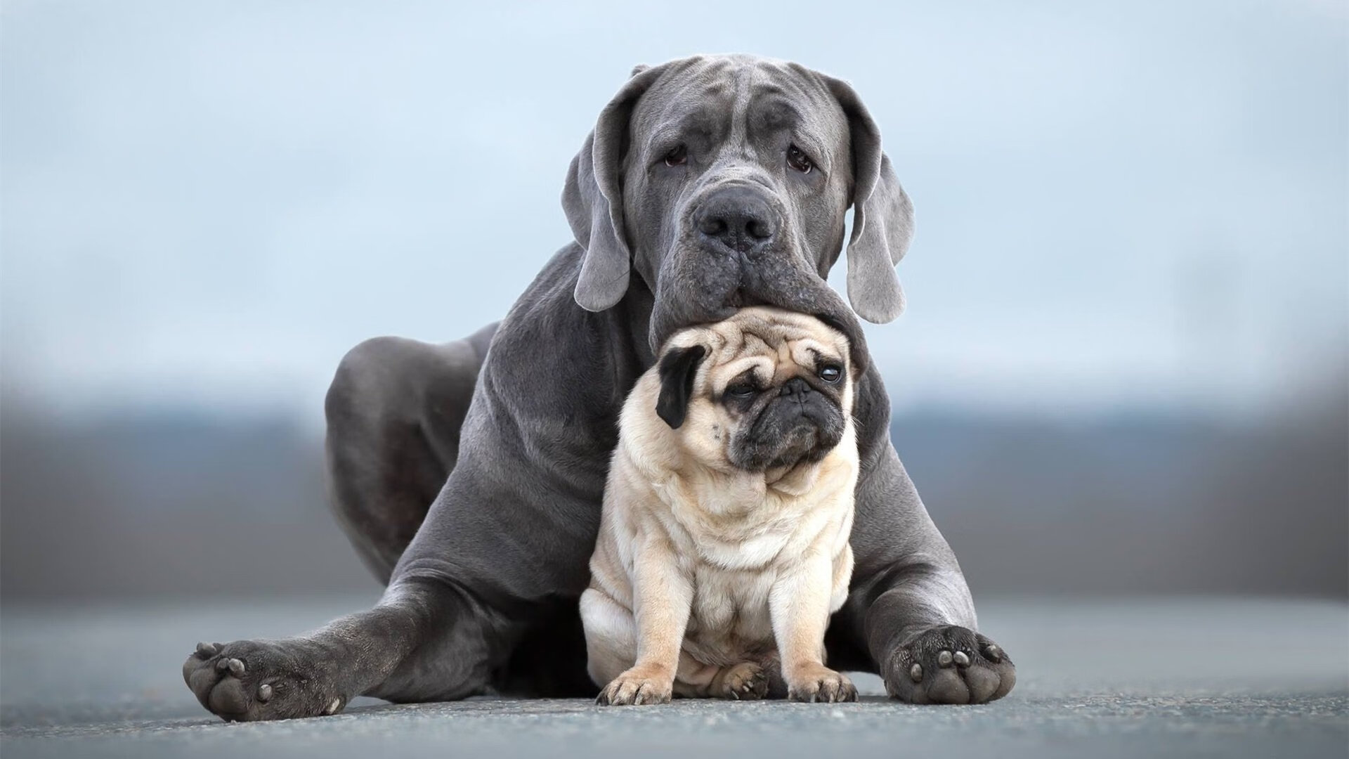 从沉默到风暴，萨内关键节点连续得分如何颠覆欧冠决赛之夜