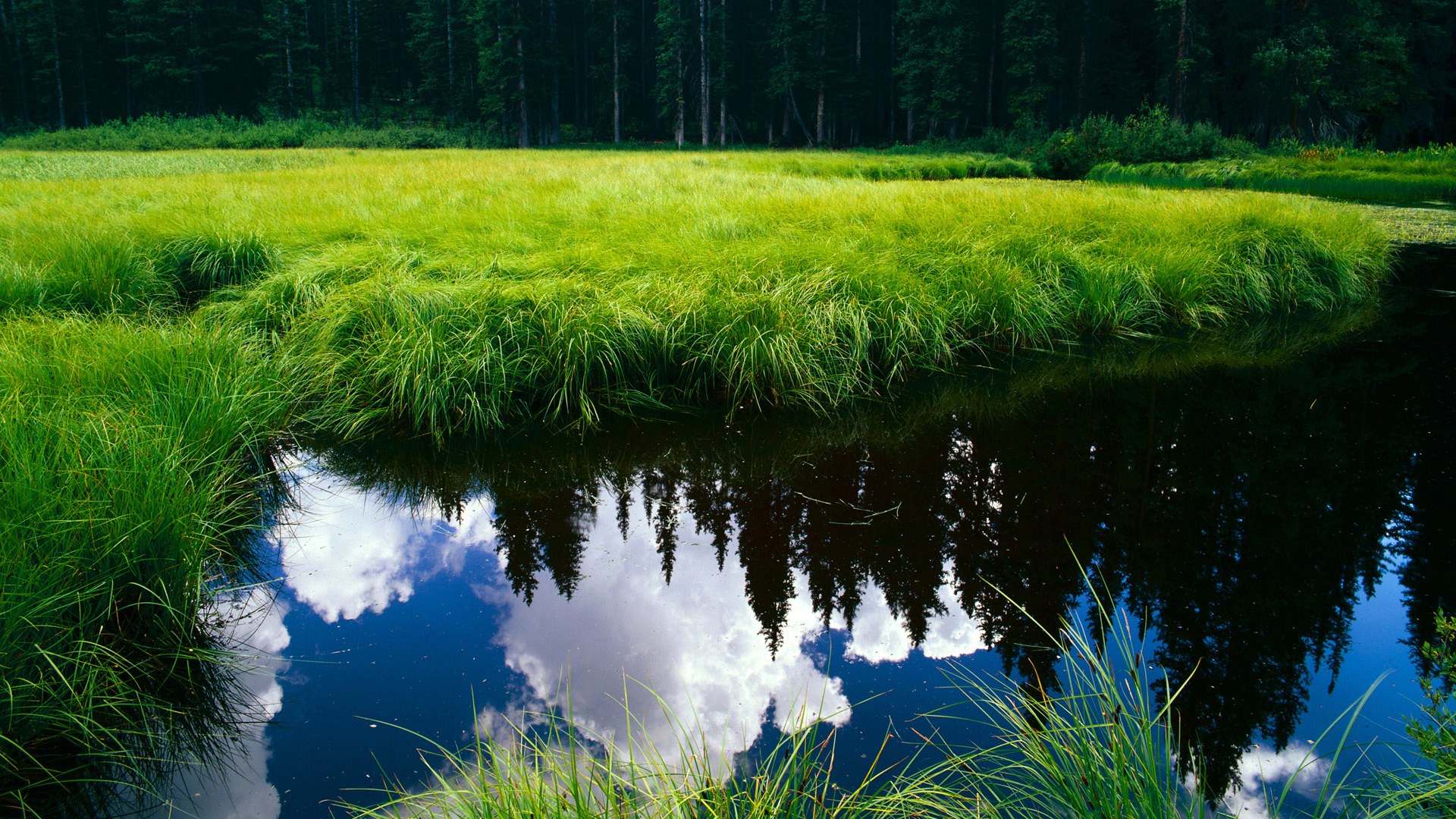 奥运前哨战，黄蜂单节风暴击溃篮网，球星国家队命运在此一役